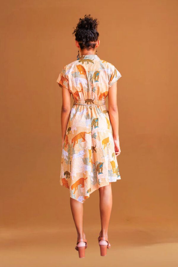 Kalahari Asymmetric Dress - Image 2