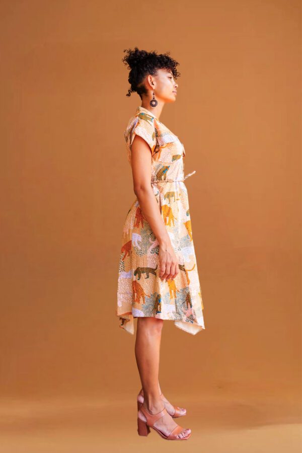 Kalahari Asymmetric Dress - Image 3